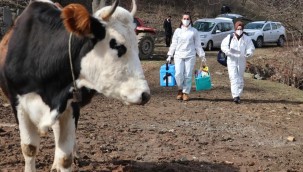 Sağlık çalışanları Şehriye ninenin Covid-19 aşısı için yollara düştü