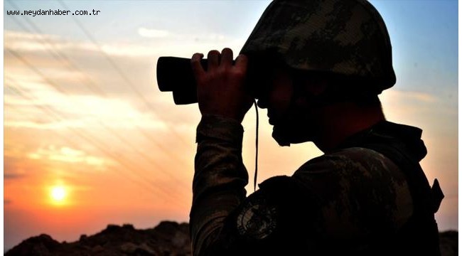 Yasa dışı yollarla yurda girmeye çalışan 2'si terörist 9 kişi yakalandı