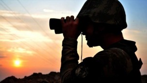 Yasa dışı yollarla yurda girmeye çalışan 2'si terörist 9 kişi yakalandı