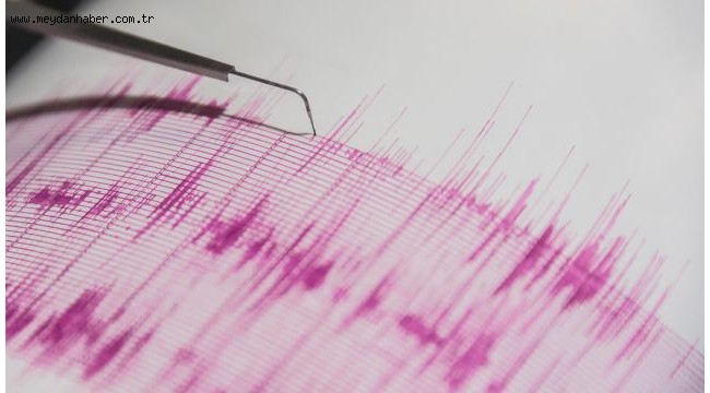 Yeni Zelanda açıklarında 7,3 büyüklüğünde deprem