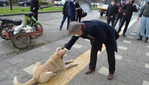 Ahmetli'de Can Dostlar Unutulmuyor