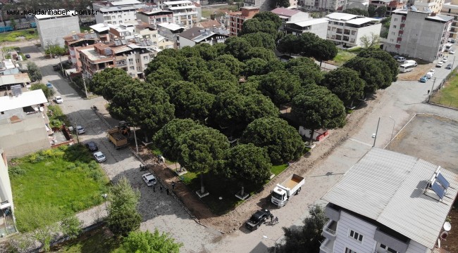 Ahmetli'de Parklar Pandemi Sonrası Bahara Hazırlanıyor
