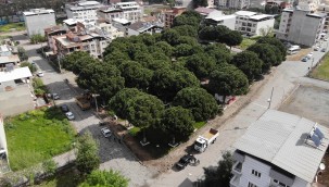 Ahmetli'de Parklar Pandemi Sonrası Bahara Hazırlanıyor