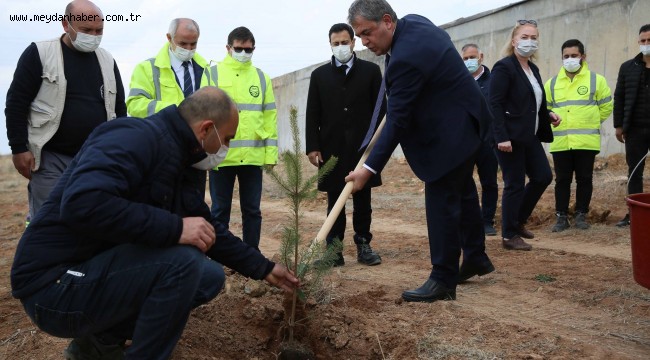 ASKİ'DEN "YEŞİLİN BAŞKENTİ" PROJESİNE DESTEK: SU ARITMA TESİSLERİNE 2 GÜNDE BİN 145 FİDAN DİKİLDİ