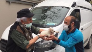 Avcılardan arama kurtarma timine yavru köpek