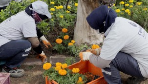 BAHARIN RENKLERİ ÇANKAYA'DA AÇIYOR