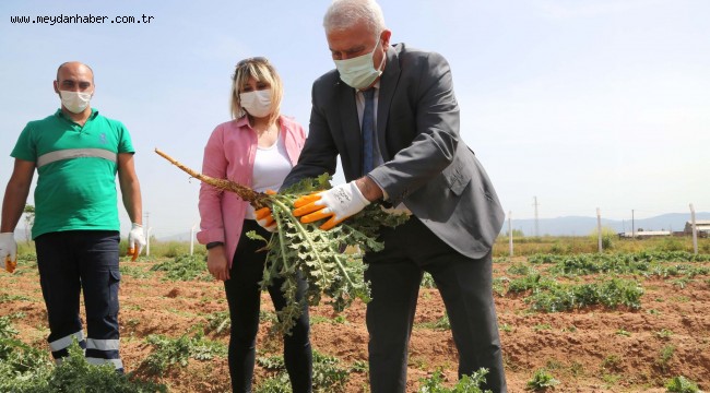 BAŞKAN ATAY BELEDİYENİN TARIM ARAZİLERİNİ İNCELEDİ