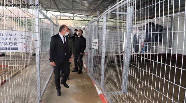 Başkan Çetin Akın: "Sahipsiz canlarımızın güvenli ve temiz ortamda bakılmasını sağlayacağız" 