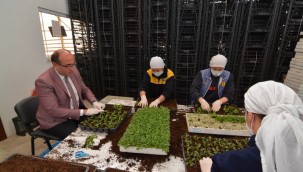 BAŞKAN MUSTAFA ÇÖL ÇİÇEK SERAMIZI ZİYARET ETTİ