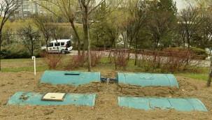 BAŞKENT'İN PARKLARI YAĞMUR SUYU İLE SULANACAK