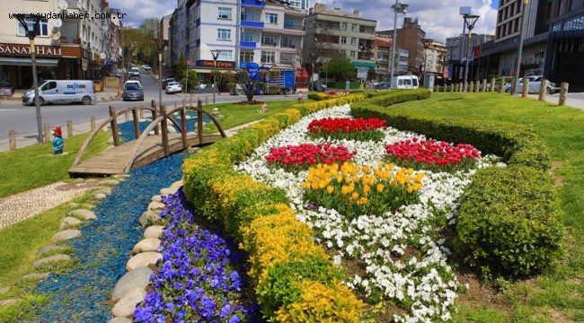 BAYRAMPAŞA'DA LALE ŞÖLENİ