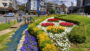 BAYRAMPAŞA'DA LALE ŞÖLENİ