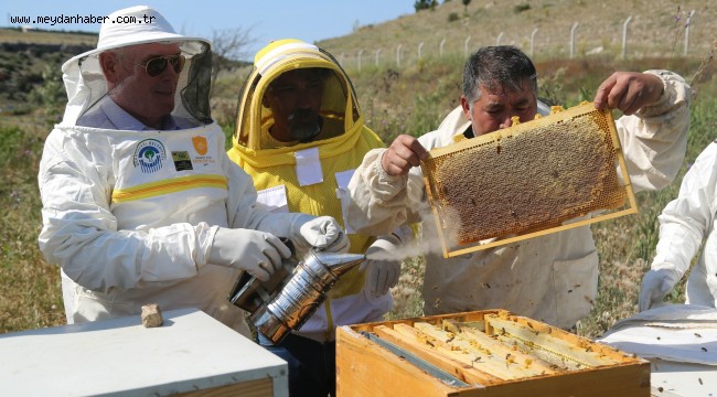 Belediye bal üretiyor yoksullara dağıtıyor
