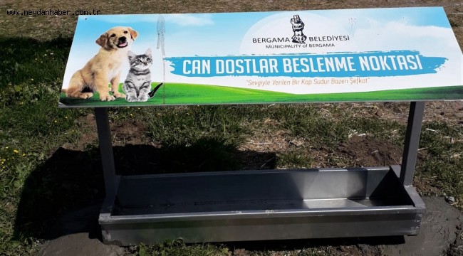 Bergama'da can dostlar için besleme noktaları kuruluyor