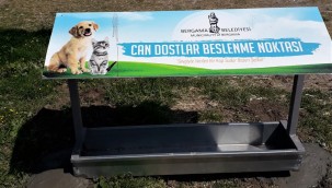 Bergama'da can dostlar için besleme noktaları kuruluyor