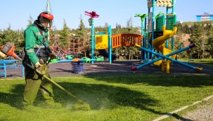 Buca Belediyesi'nden parklarda özel çalışma