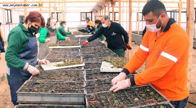 ÇANKAYA'DAN ÇİÇEK SATIŞI 