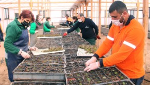 ÇANKAYA'DAN ÇİÇEK SATIŞI 