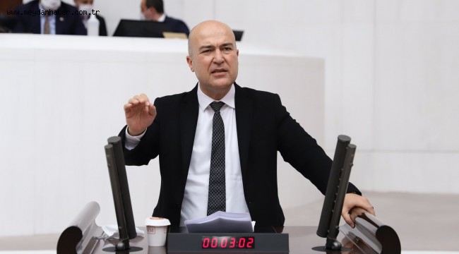 CHP'li Bakan Hayvan Hakları Yasası'nı hatırlattı: "Neyi bekliyorsunuz? Getirin oybirliğiyle geçirelim!"