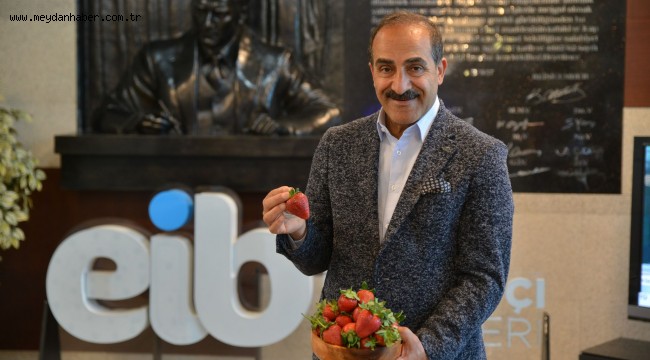 Çilek ihracatında yüzde 333'lük rekor artış