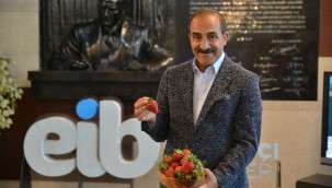 Çilek ihracatında yüzde 333'lük rekor artış