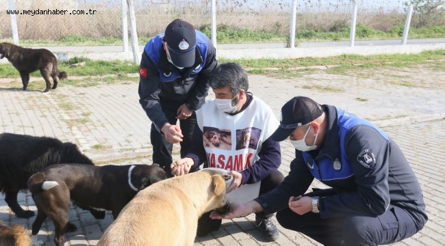 EFELER CAN DOSTLAR İÇİN KİLOMETRELERCE YÜRÜYEN İĞDİGÜL'Ü AĞIRLADI