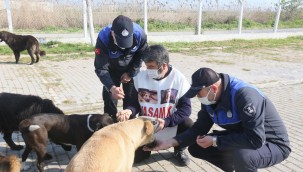 EFELER CAN DOSTLAR İÇİN KİLOMETRELERCE YÜRÜYEN İĞDİGÜL'Ü AĞIRLADI