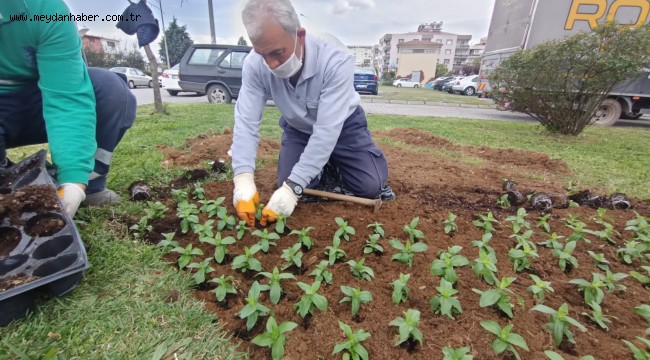Efeler'in Çiçekleri Toprakla Buluşuyor