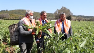 FESTİVALİN GASTRONOMİ TURİZMİNE KATKISI NASIL OLDU?