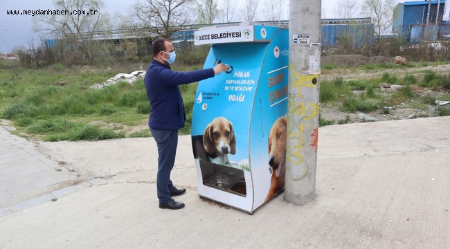 HEM GERİ DÖNÜŞÜME HEM CAN DOSTLARA DESTEK