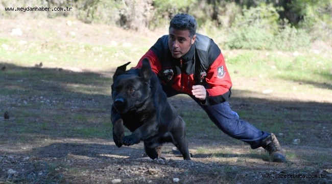 İtfaiyenin yedi köpeği hayat kurtarıyor
