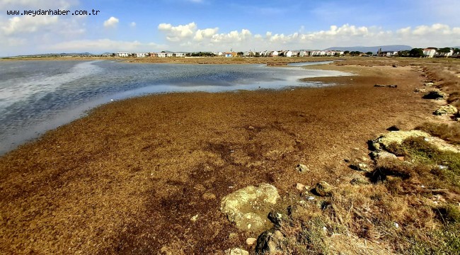 KARAKOÇ DERESİNİN SULAK ALAN SATÜSÜ KORUNACAK