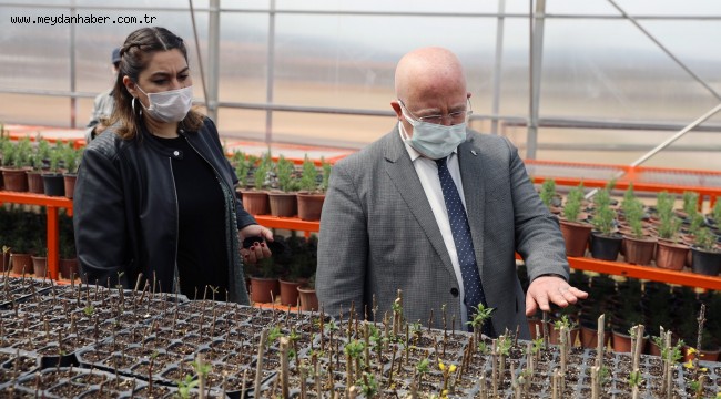 Menteşe Belediyesi Bitkilerini Kendi Serasında Üretiyor