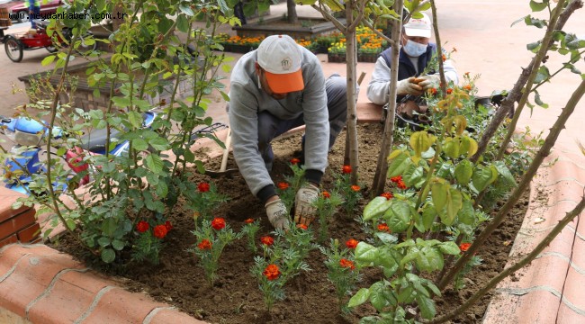 Mevsimlik Çiçekler Turgutlu'nun Çehresine Renk Katıyor