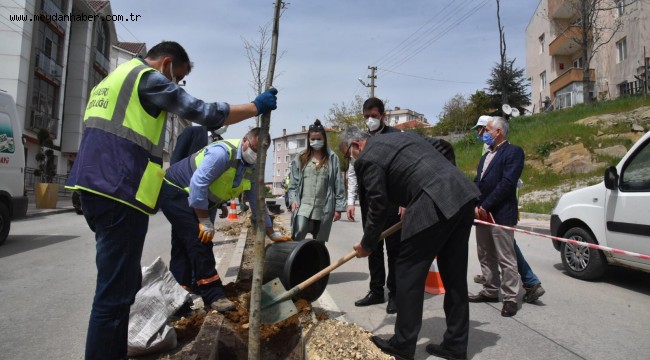Muammer Aksoy Caddesi'ne 132 adet ıhlamur fidanı dikiliyor
