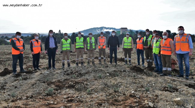 ORDU'NUN ÇÖPLÜĞÜ ALTINORDU'NUN LAVANTA BAHÇESİ OLDU