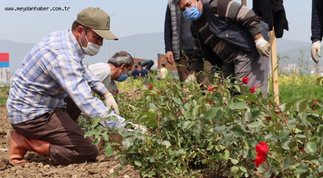 OTLAR TEMİZLENİYOR, ÇİÇEKLER DİKİLİYOR