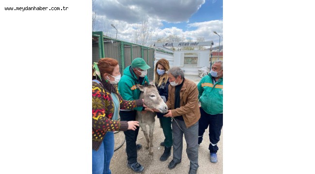 PEKMEZ ARTIK ÇANKIRILI