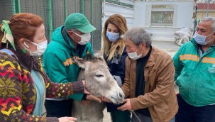 PEKMEZ ARTIK ÇANKIRILI