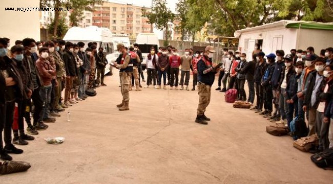Şanlıurfa'da 101 düzensiz göçmen yakalandı