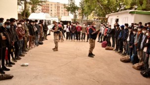 Şanlıurfa'da 101 düzensiz göçmen yakalandı
