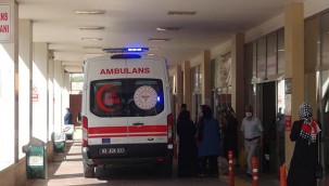 Şanlıurfa'da iki kardeş sulama kanalında boğuldu