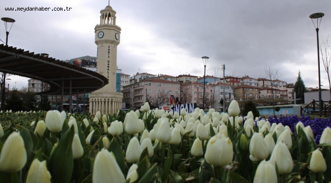 Sincan'da Laleler Baharı Müjdeledi