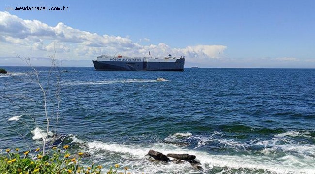 Tuzla'da karaya oturan geminin kurtarılması için çalışmalara başlandı