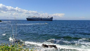 Tuzla'da karaya oturan geminin kurtarılması için çalışmalara başlandı