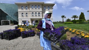 170 bin mevsimlik çiçek toprakla buluşuyor