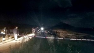 Adana'da iki kadın silahla vurulmuş halde ölü bulundu