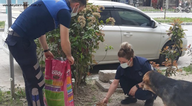 Ahmetli Belediyesi Tam Kapanmada Canları Unutmadı