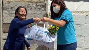 Aliağa Belediyesi'nin Çiçek Dağıtımları Sürüyor