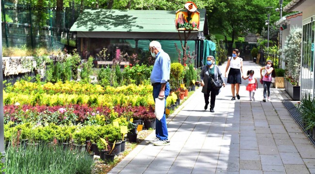 ANFA BİTKİ EVİ YAZI RENGARENK ÇİÇEKLERLE KARŞILIYOR